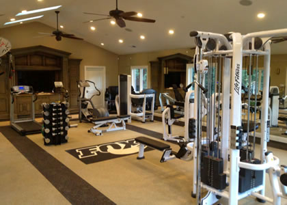 fitness gyms
